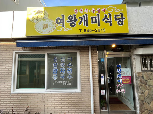 강릉시 여왕개미 전경