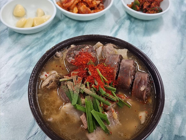 제주시 광명식당 대표 음식