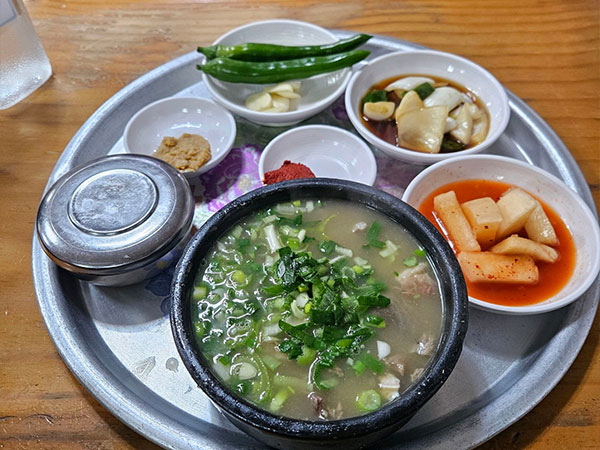 포항시 북구 장기식당 대표 음식