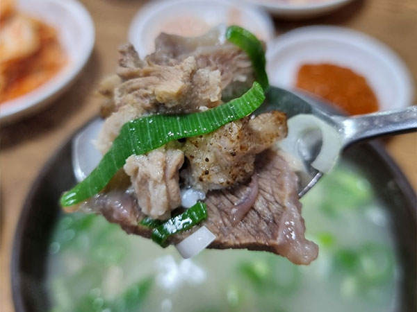 경산시 원조하양할매곰탕 곰탕