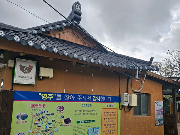 영주시 순흥전통묵집 전경