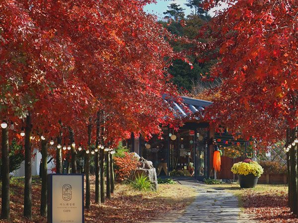 영주시 사느레정원 전경