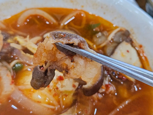 영주시 장수표고식당 칼국수