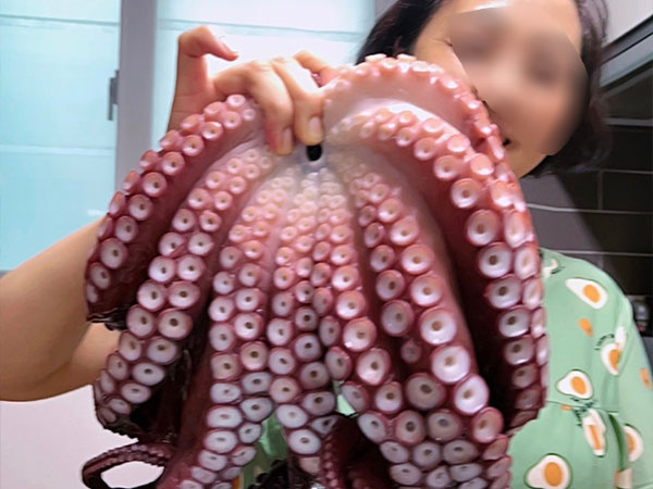 영주시 묵호문어집 대표 음식