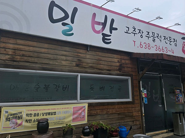 영주시 밀밭 전경