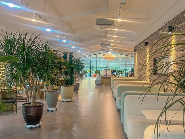 영천시 스테이클래시 내부 인테리어