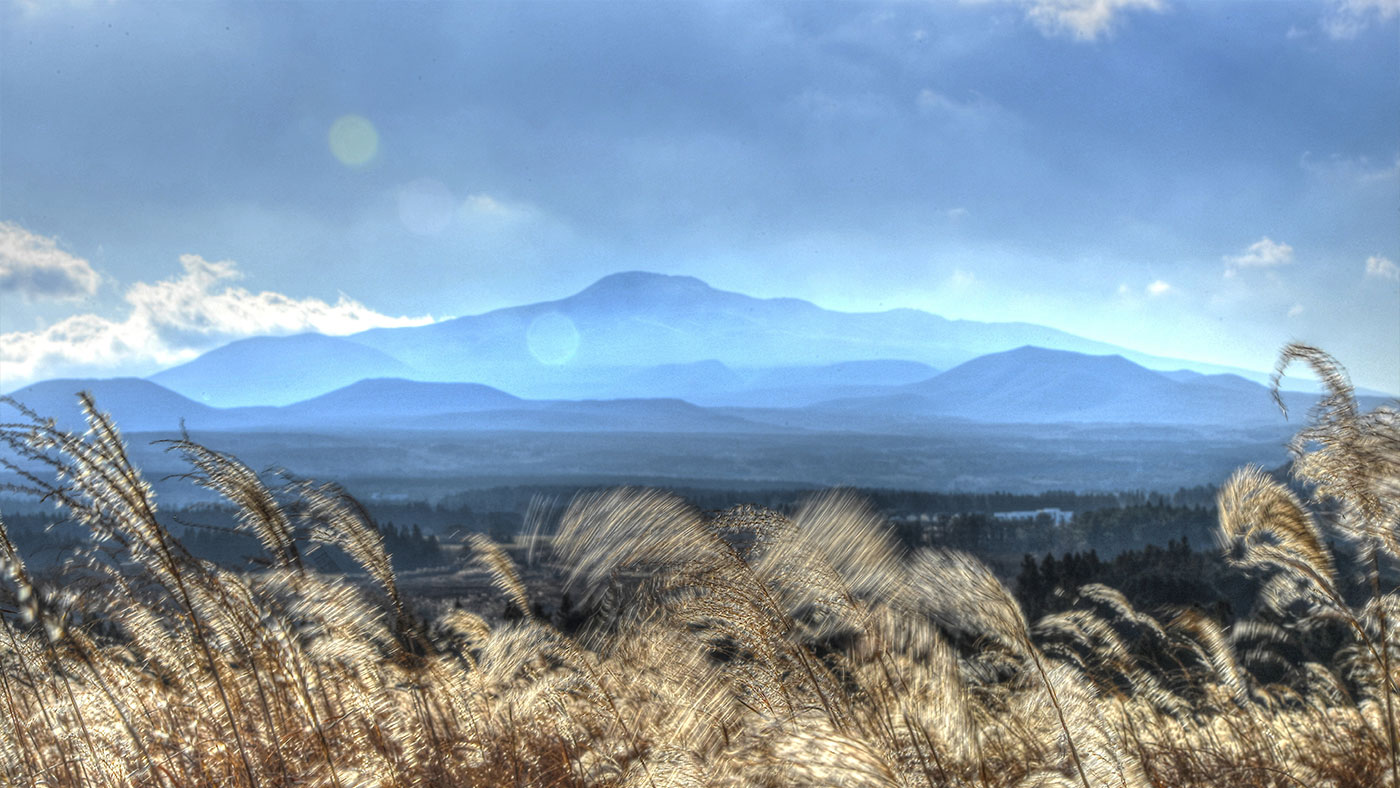 한라산천연보호구역 (漢拏山天然保護區域): 드물고 독특한 태생과 생태, 한라산 천연보호구역