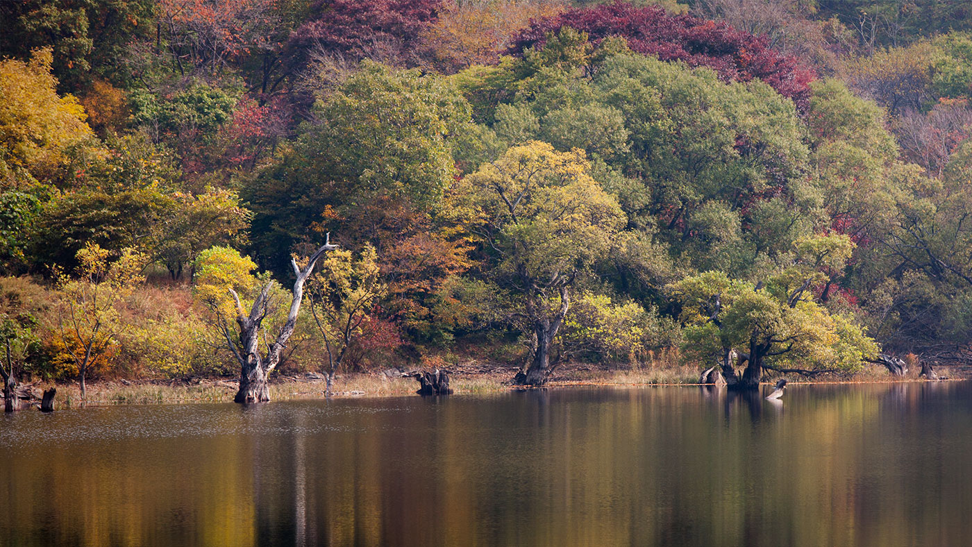 청송 주산지 일원 (靑松 注山池 一圓): 명승 제105호