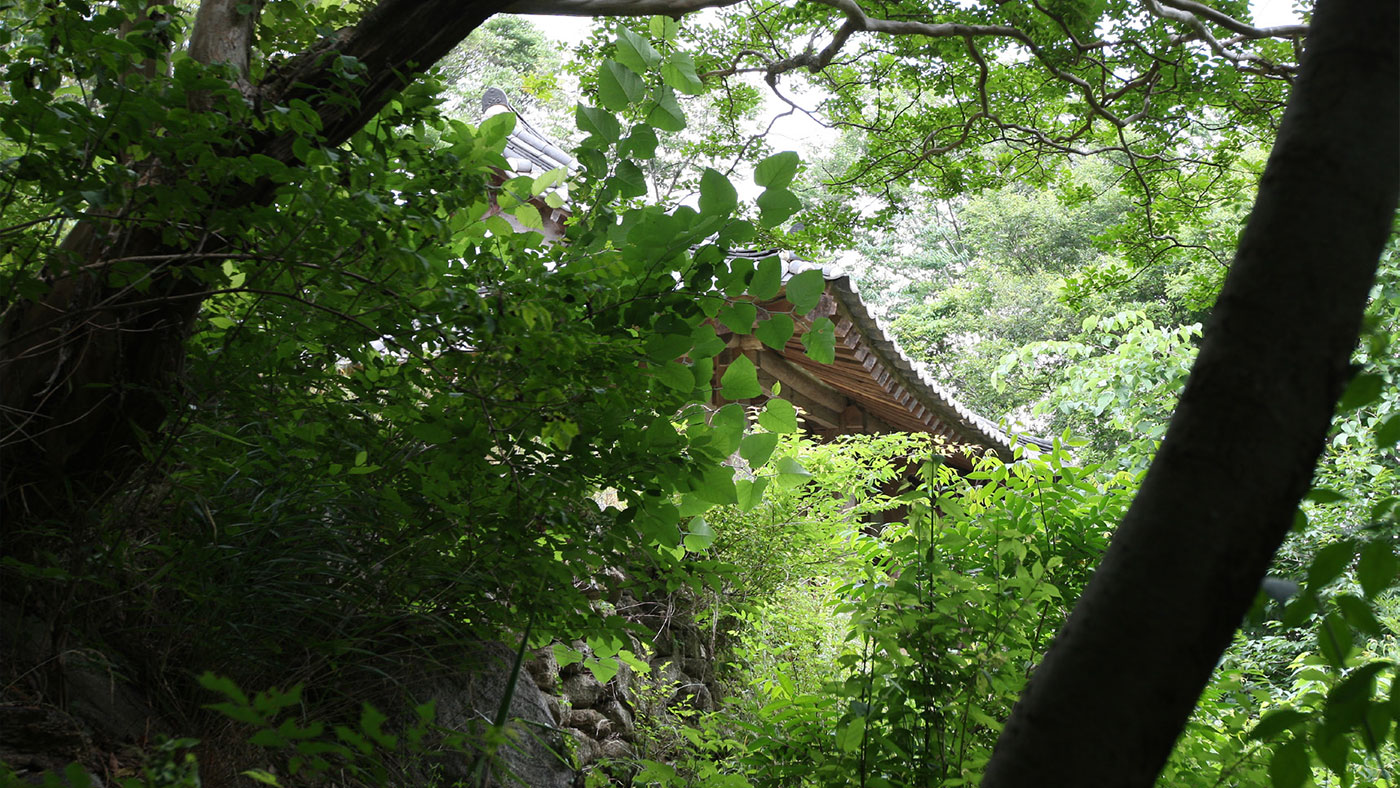 순천 초연정 원림 (順天 超然亭 園林)