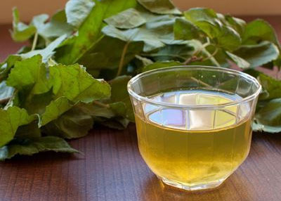 뽕잎(桑葉, 상엽)