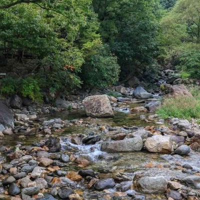 사나사: 용문산 계곡의 맑은 물소리와 비로자나불의 빛, 마음을 비우는 돌탑 명상