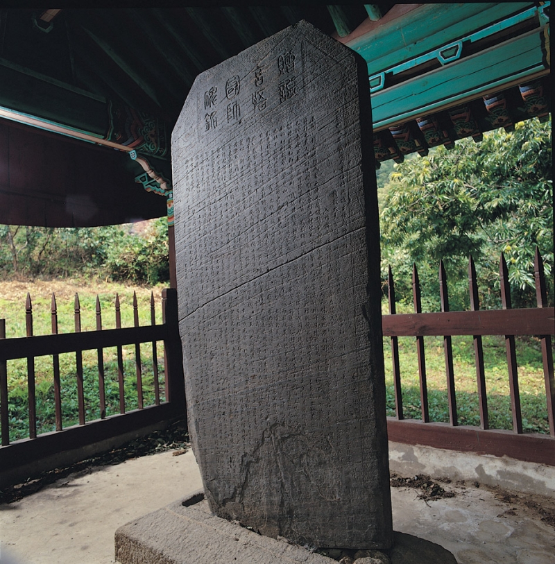 용인 서봉사지 현오국사탑비 (龍仁 瑞鳳寺址 玄悟國師塔碑)