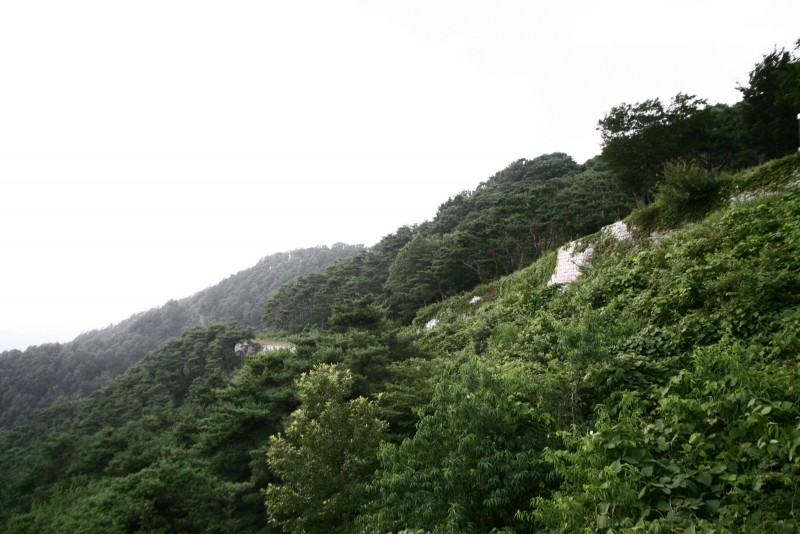 부여 가림성 (扶餘 加林城)