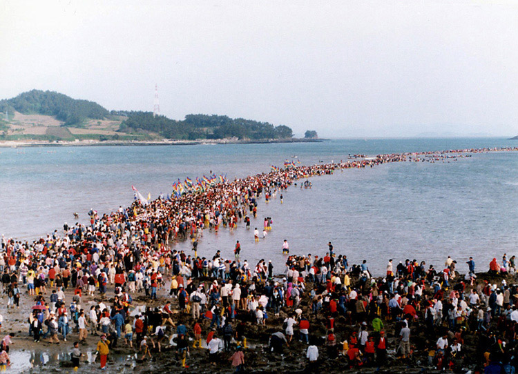 진도의바닷길 (珍島의 바닷길)