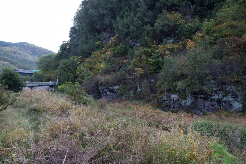 대구 도동 측백나무 숲 (大邱 道洞 측백나무 숲)