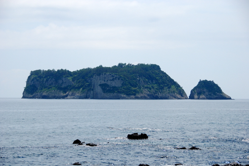 제주 삼도 파초일엽 자생지 (濟州 森島 파초일엽 自生地)