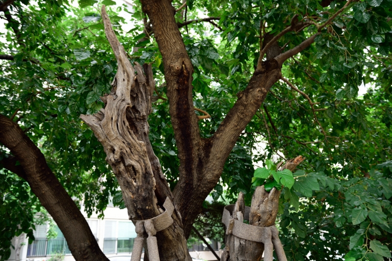 신숭겸장군유적 (申崇謙將軍遺蹟)
